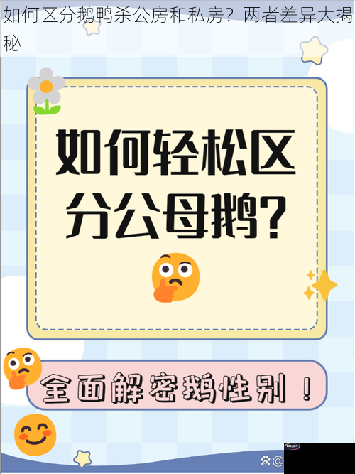 如何区分鹅鸭杀公房和私房？两者差异大揭秘