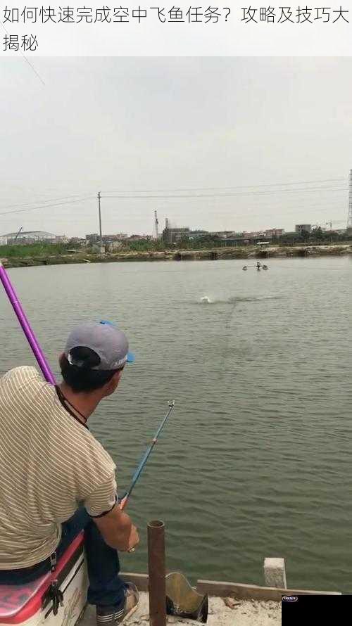 如何快速完成空中飞鱼任务？攻略及技巧大揭秘