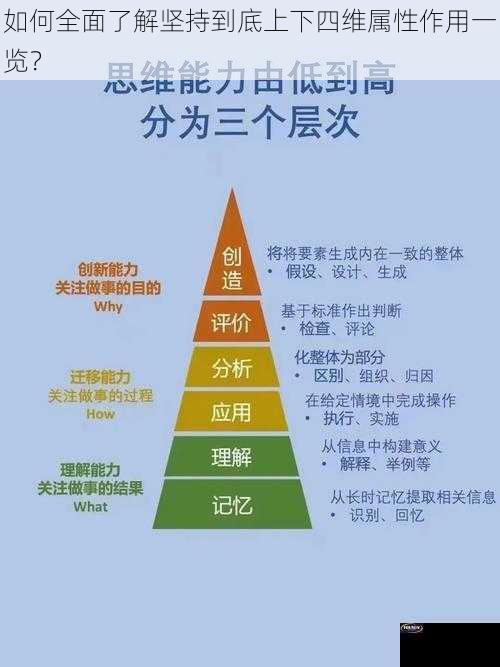 如何全面了解坚持到底上下四维属性作用一览？