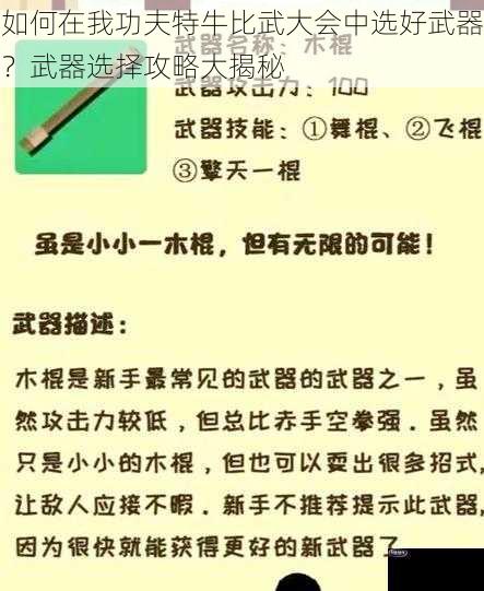 如何在我功夫特牛比武大会中选好武器？武器选择攻略大揭秘