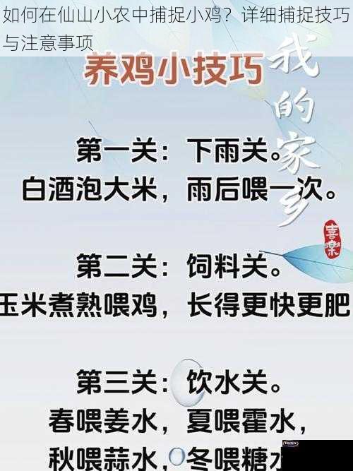 如何在仙山小农中捕捉小鸡？详细捕捉技巧与注意事项