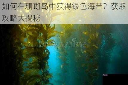 如何在珊瑚岛中获得银色海带？获取攻略大揭秘