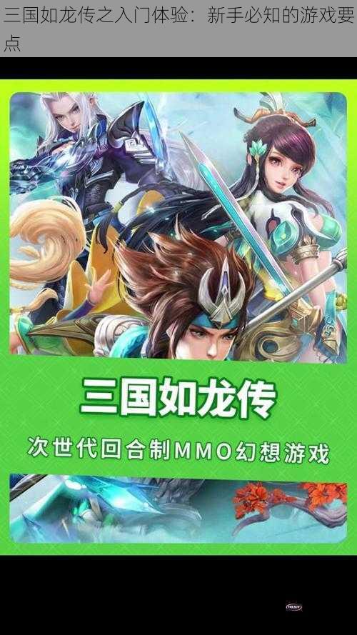 三国如龙传之入门体验：新手必知的游戏要点