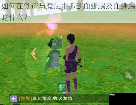 如何在创造与魔法中抓到血蜥蜴及血蜥蜴吃什么？