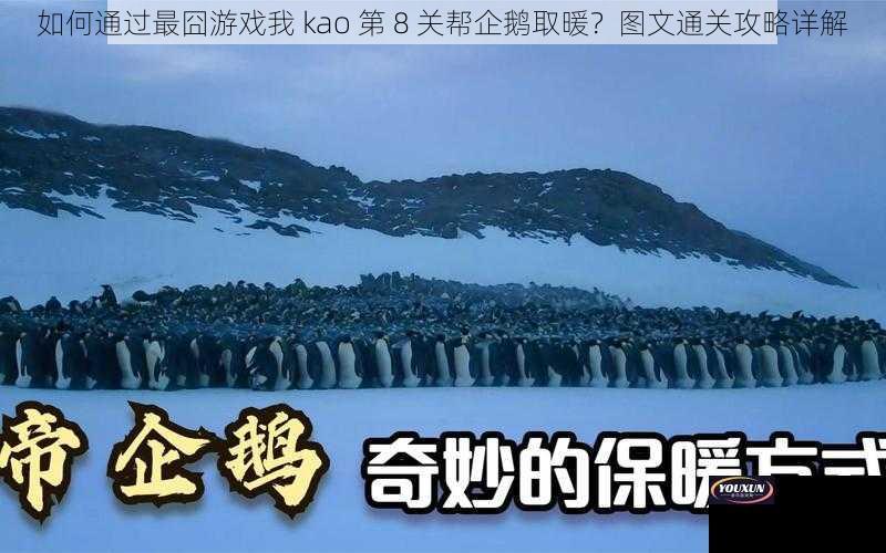 如何通过最囧游戏我 kao 第 8 关帮企鹅取暖？图文通关攻略详解