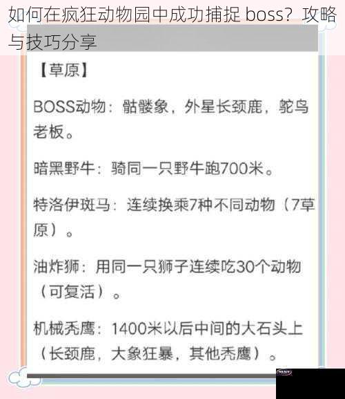 如何在疯狂动物园中成功捕捉 boss？攻略与技巧分享