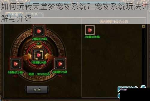 如何玩转天堂梦宠物系统？宠物系统玩法讲解与介绍