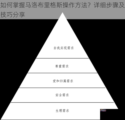 如何掌握马洛布里格斯操作方法？详细步骤及技巧分享