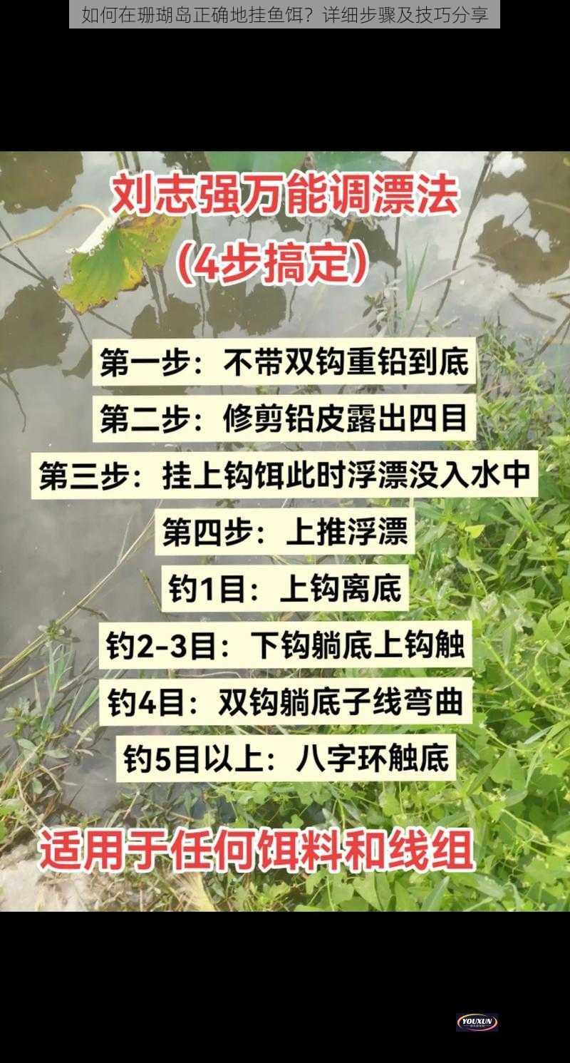 如何在珊瑚岛正确地挂鱼饵？详细步骤及技巧分享