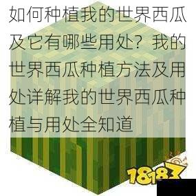 如何种植我的世界西瓜及它有哪些用处？我的世界西瓜种植方法及用处详解我的世界西瓜种植与用处全知道