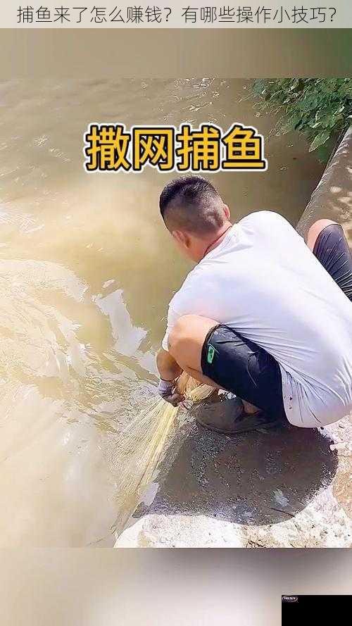 捕鱼来了怎么赚钱？有哪些操作小技巧？