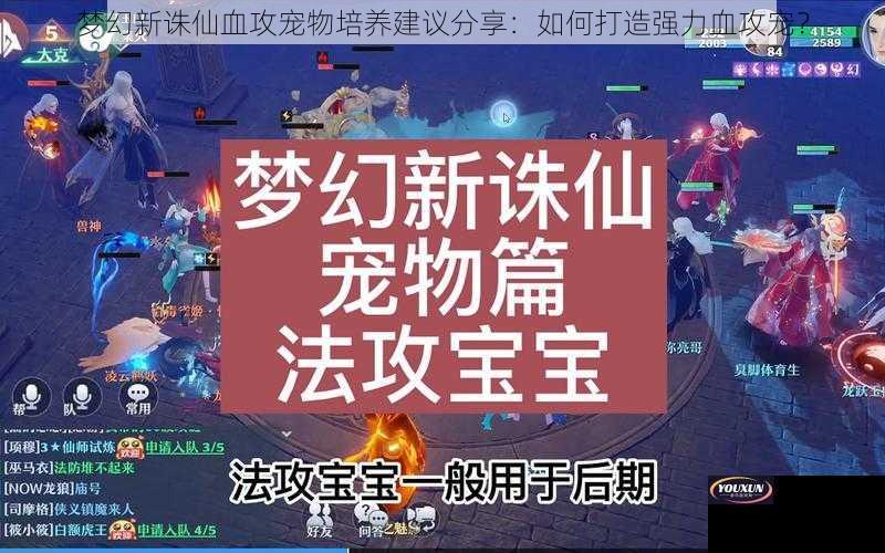 梦幻新诛仙血攻宠物培养建议分享：如何打造强力血攻宠？