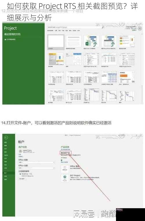 如何获取 Project RTS 相关截图预览？详细展示与分析