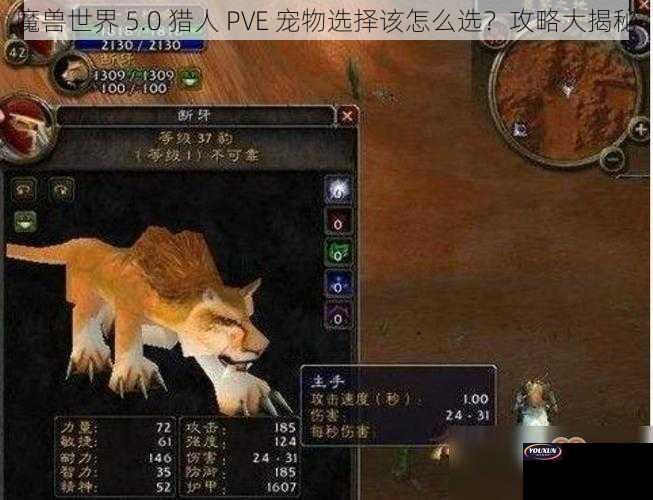 魔兽世界 5.0 猎人 PVE 宠物选择该怎么选？攻略大揭秘