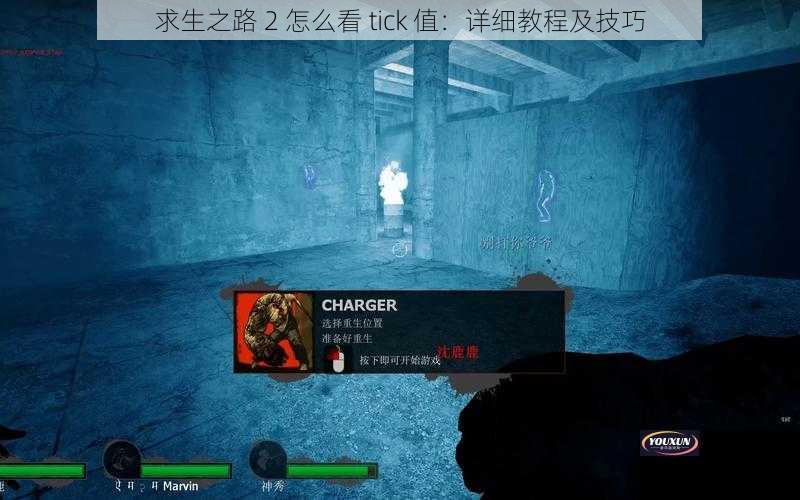 求生之路 2 怎么看 tick 值：详细教程及技巧