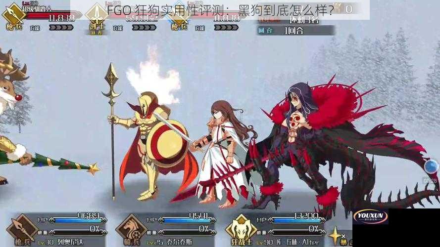 FGO 狂狗实用性评测：黑狗到底怎么样？