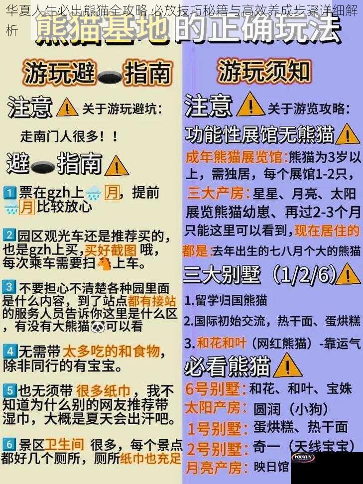 华夏人生必出熊猫全攻略 必放技巧秘籍与高效养成步骤详细解析