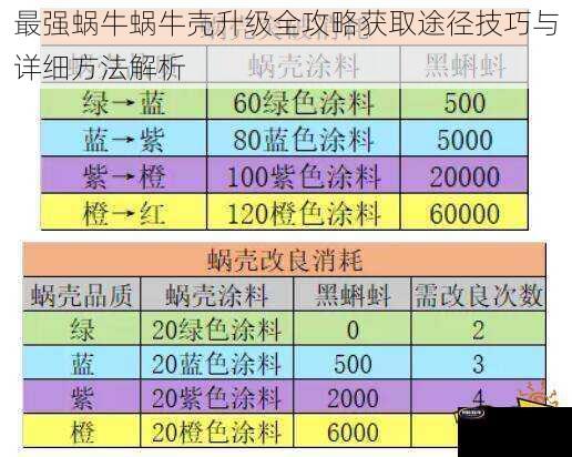 最强蜗牛蜗牛壳升级全攻略获取途径技巧与详细方法解析